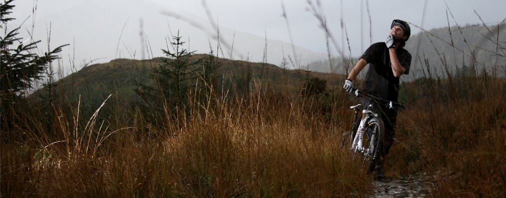 The Marin Trail